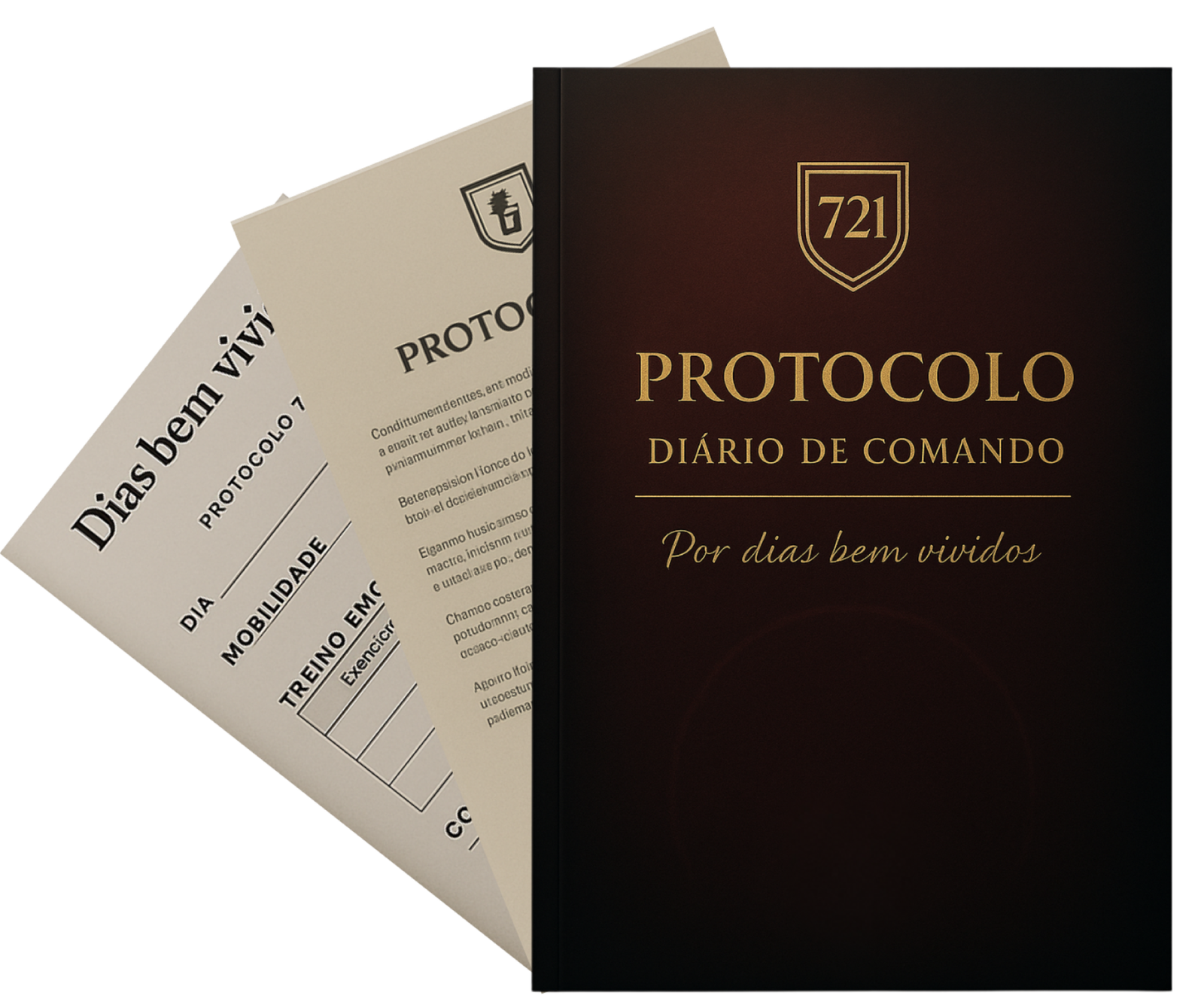 Diario de comando (1)