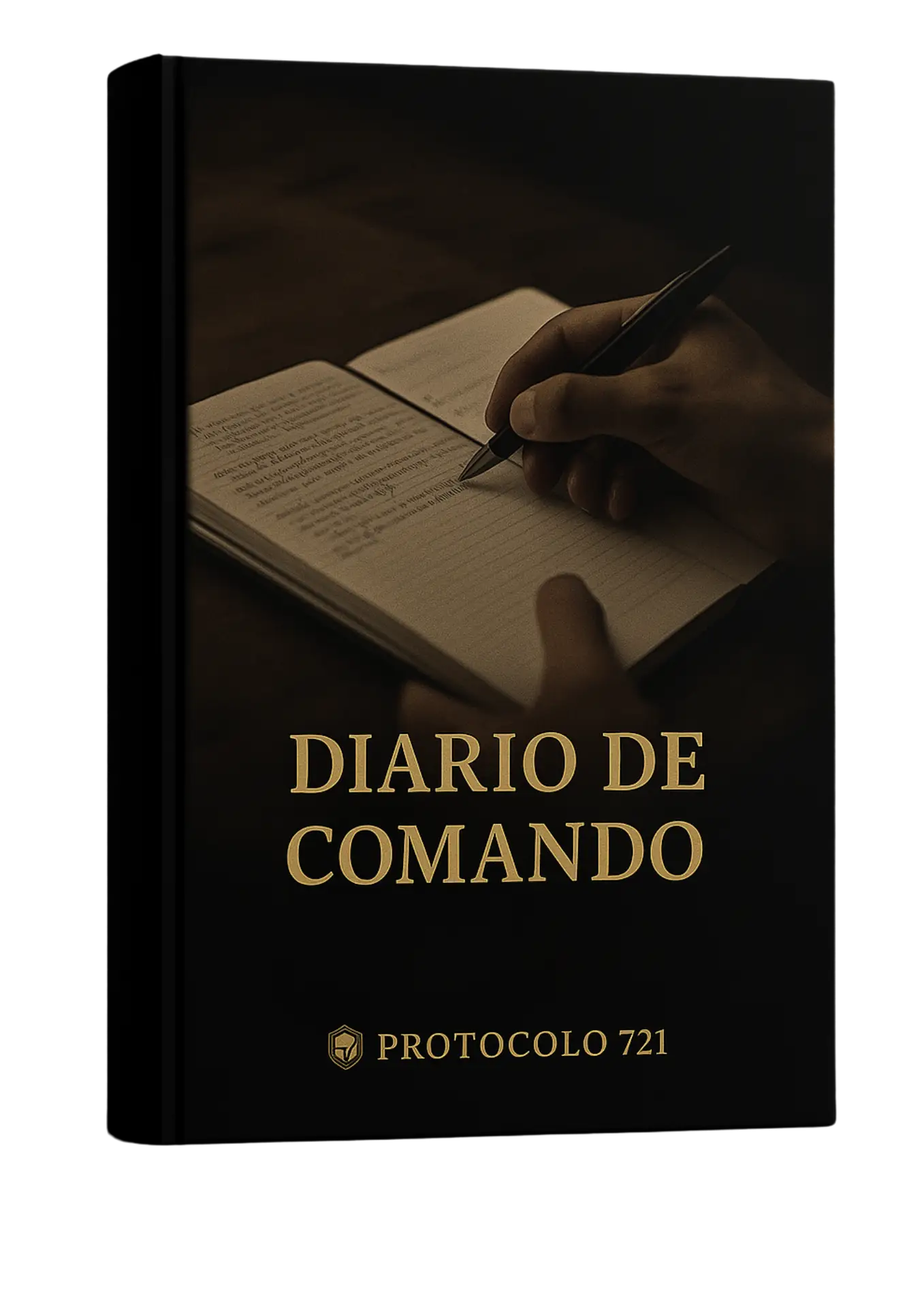 Protocolo de treinamento 721 (20)