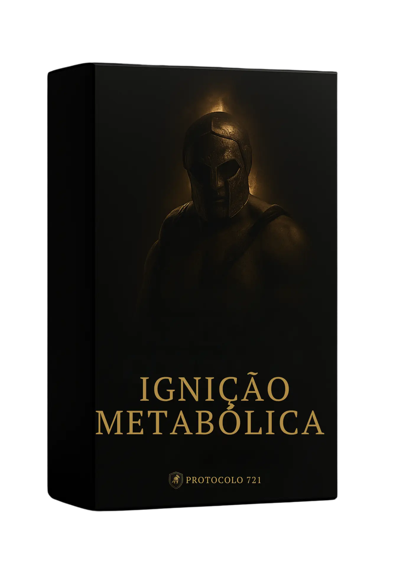 Protocolo de treinamento 721 (27)